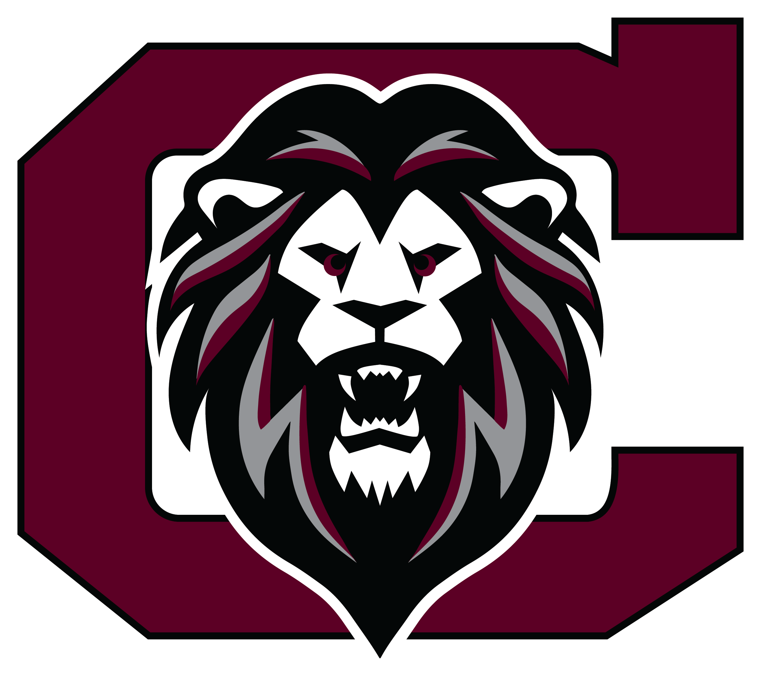 Shop Lion Gear - Custom Spirit & Athletic Apparel