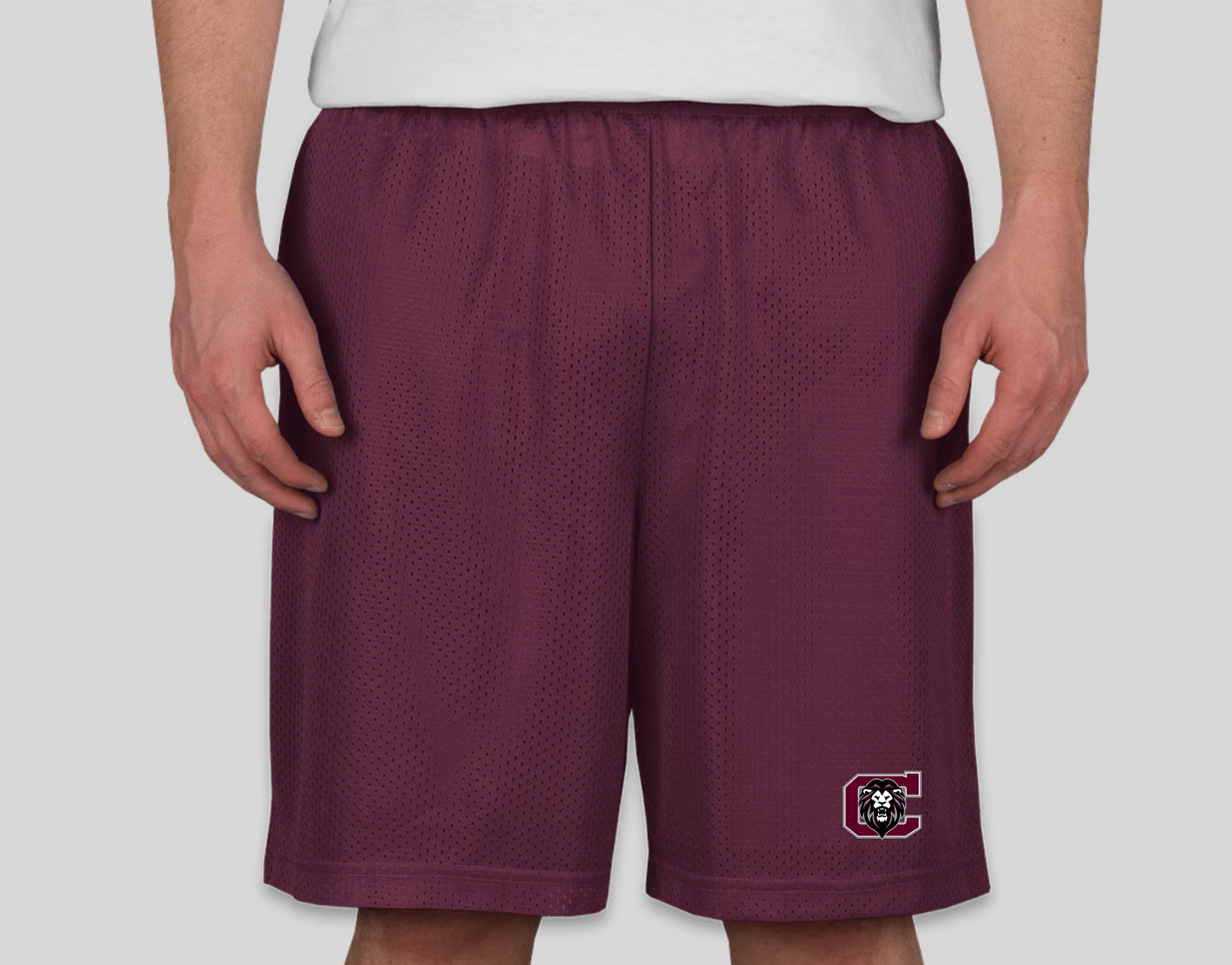 PowerPlay Mesh Shorts